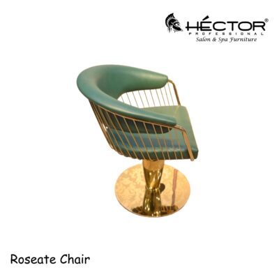 Roseate salon chair side angled view with green seat and gold frame