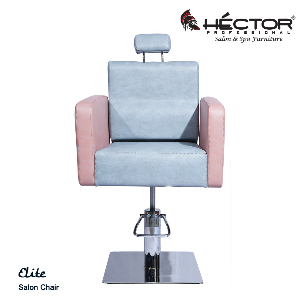 Salon Chair Elite Back
