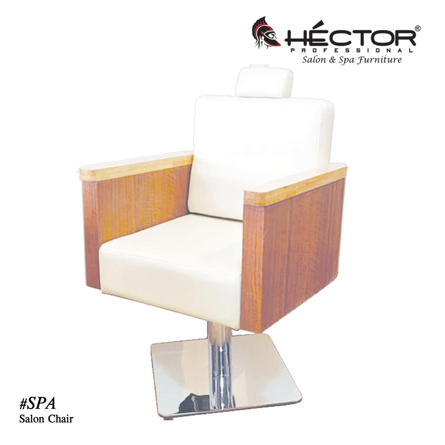 Salon Chair Spa
